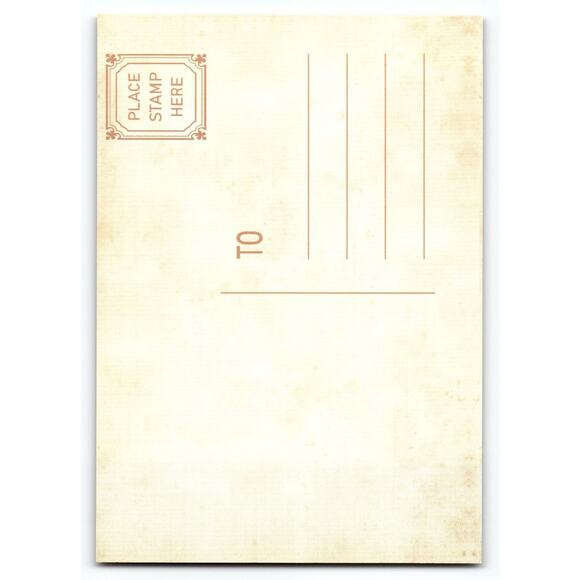 Vintage Halloween Photochrome Postcard Witch Moon 5.5x4 inches - Picture 2 of 2